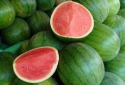 热门大瓜每日必吃大瓜合集,揭秘娱乐圈最新动态，一网打尽娱乐圈风云